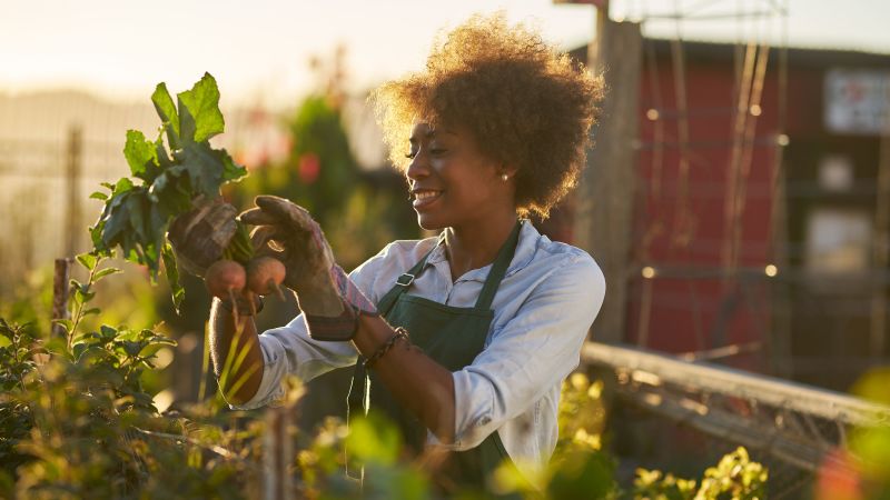 Gardening is a great form of exercise, experts say