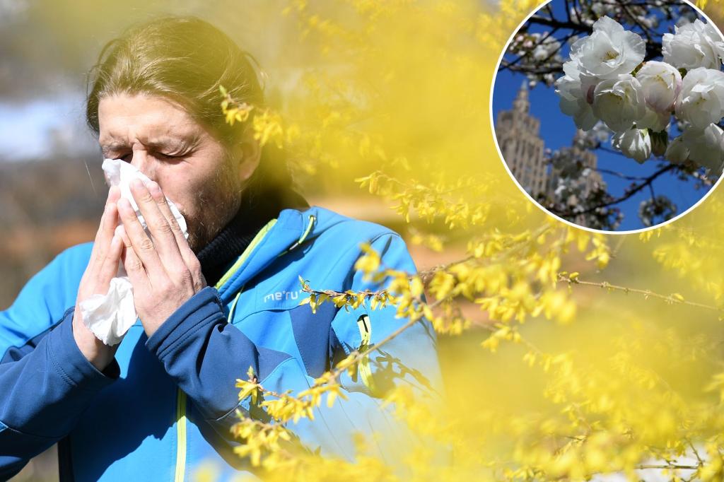 Allergies and pollen could send you to the ER this year, health department warns